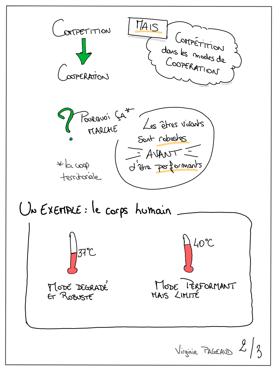 Performance vs robustesse, sketchnote 2 sur 3