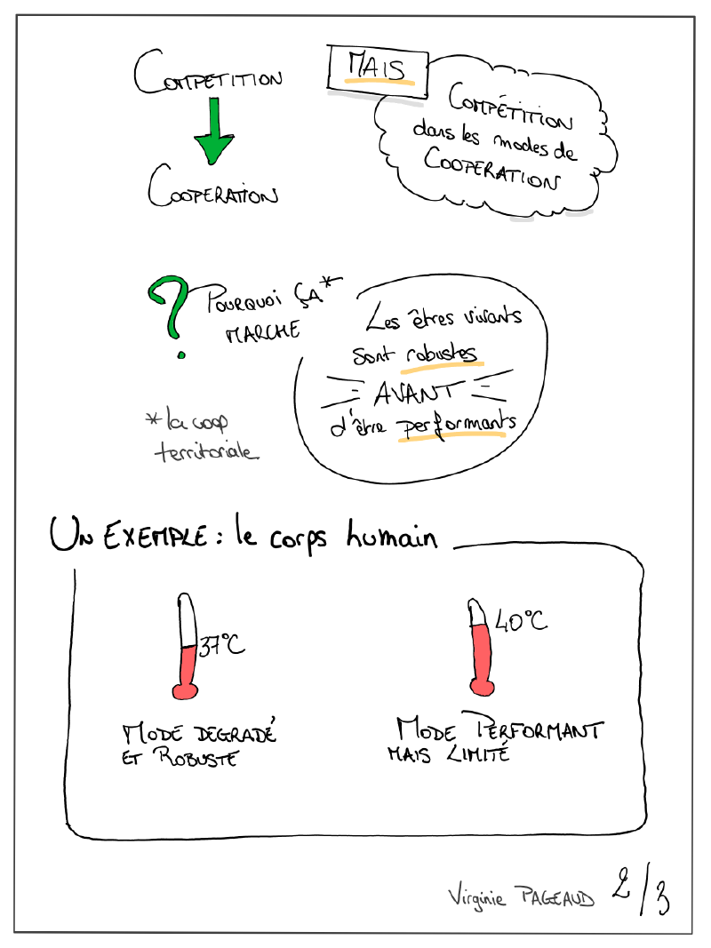 Performance vs robustesse, sketchnote 2 sur 3